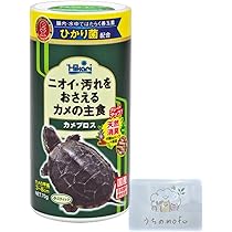 亀 Amazon.com: Zeeline By Milton ZE700, Oil Change Pan, With Filter